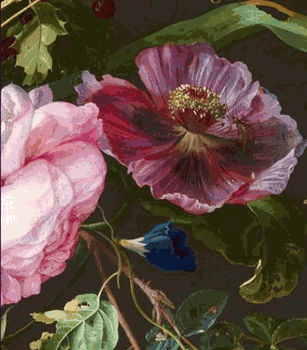 Vase of Flowers, Jan Davidsz de Heem. Vase of Flowers, Jan Davidsz de Heem.