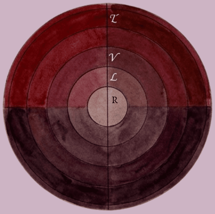 Vertical Cross-Section (Tyrian-Raisin Axis) Vertical Cross-Section (Tyrian-Raisin Axis)